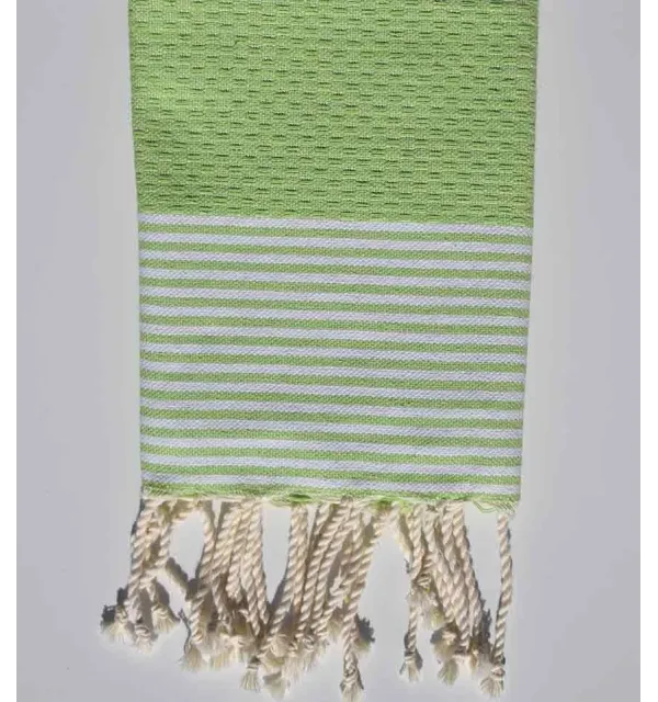 Set di 10 tovaglioli verde anice chiaro Fouta Tunisia - 3